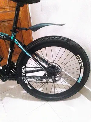 Original Phoenix Bicycle