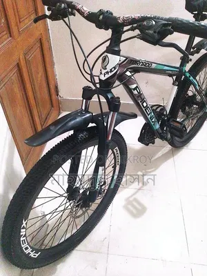 Original Phoenix Bicycle