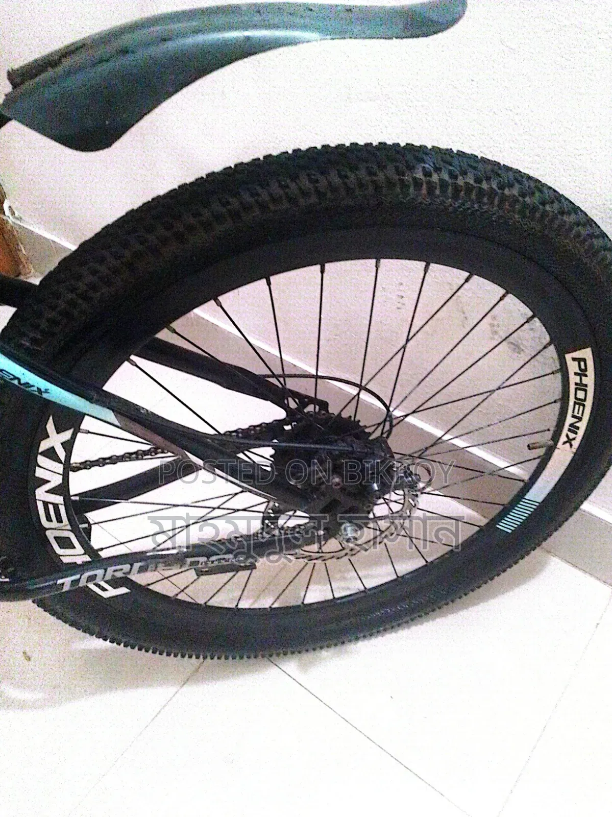 Original Phoenix Bicycle