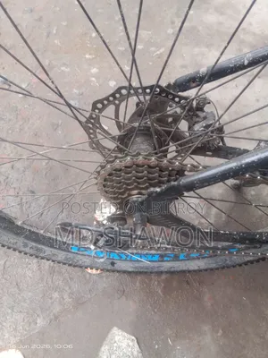 Fresh Running Cycle