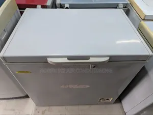Singer Deep Freeze 205 Ltr.