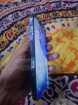 Apple iPhone 13 Pro Max 256 GB Gray