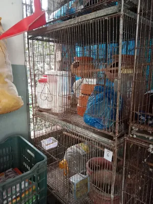 পাখির খাঁচা