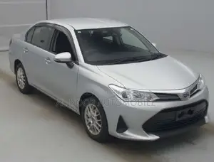 Toyota Axio 2021 Silver