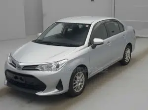 Toyota Axio 2021 Silver