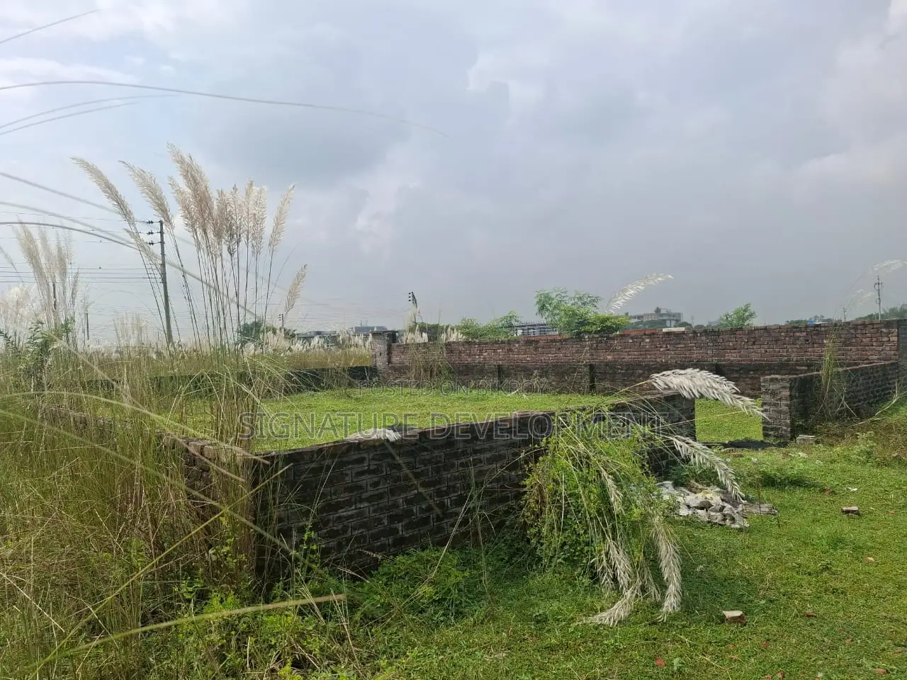 P-block // 5 Katha // South-facing // Plot Sale // Bashundhara R/A
