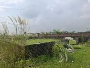 P-block // 5 Katha // South-facing // Plot Sale // Bashundhara R/A