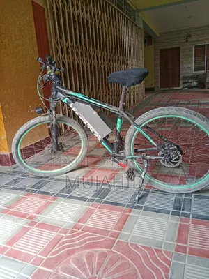 Electric Cycle