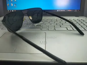 Polarized Sunglass