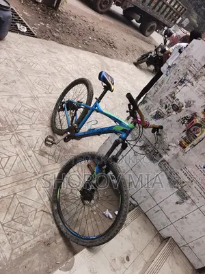 Bicycle for Sell