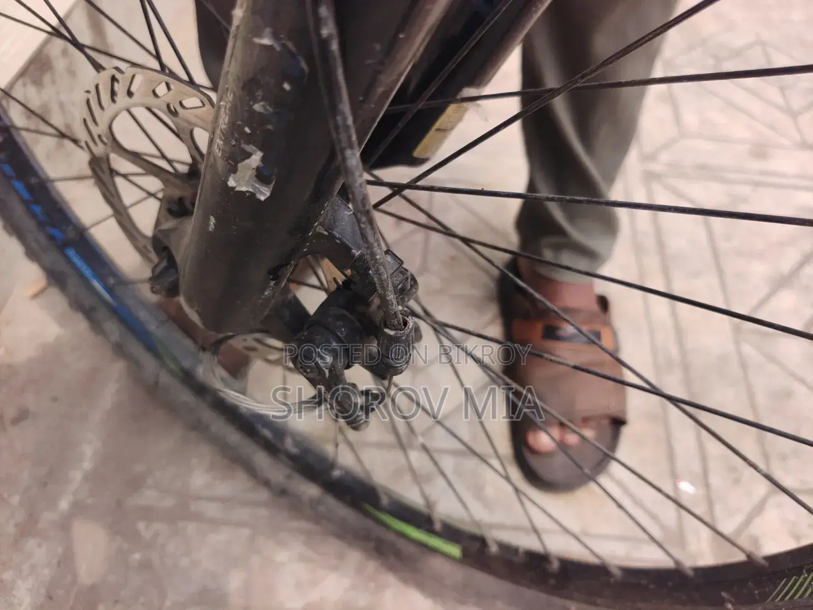 Bicycle for Sell