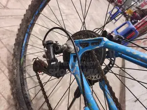 Bicycle for Sell