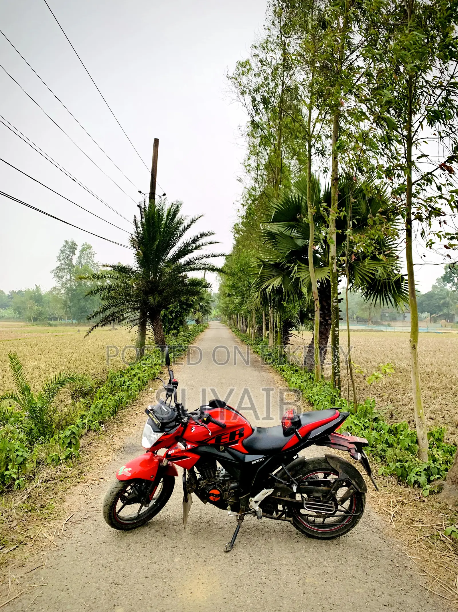 Suzuki Gixxer Monotone 2018 Red