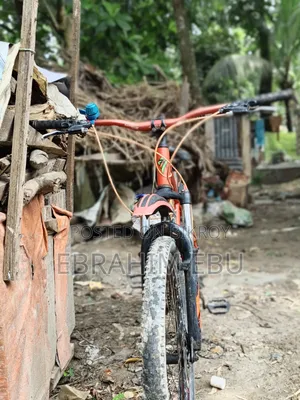 Fresh Cicle