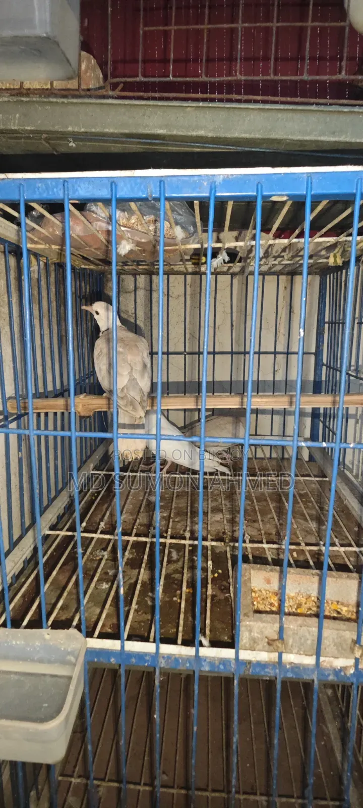জরুরী বিক্রি করব