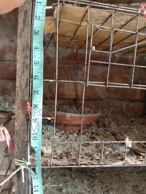 Pigeon/Bird Cage