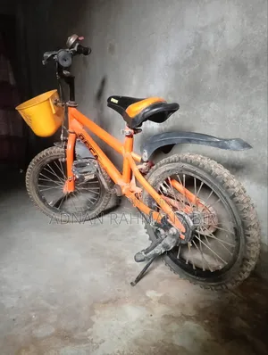 ১৬ ইঞ্চি বাইসাইকেল