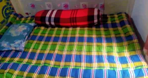 Bedstead, mattress, and bolster for sale