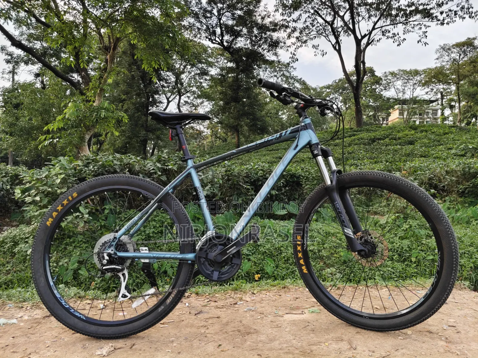 Veloce Legion 40 Mountain Bike