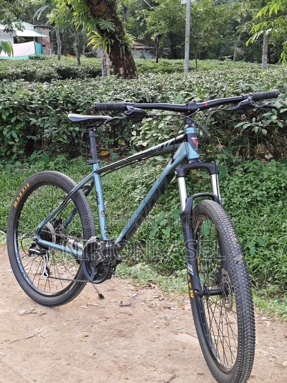 Veloce Legion 40 Mountain Bike