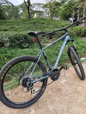 Veloce Legion 40 Mountain Bike