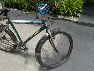 আর্জেন্ট সেল বাইসাইকেল