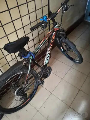 Phoenix Bicycle