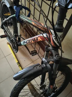 Phoenix Bicycle