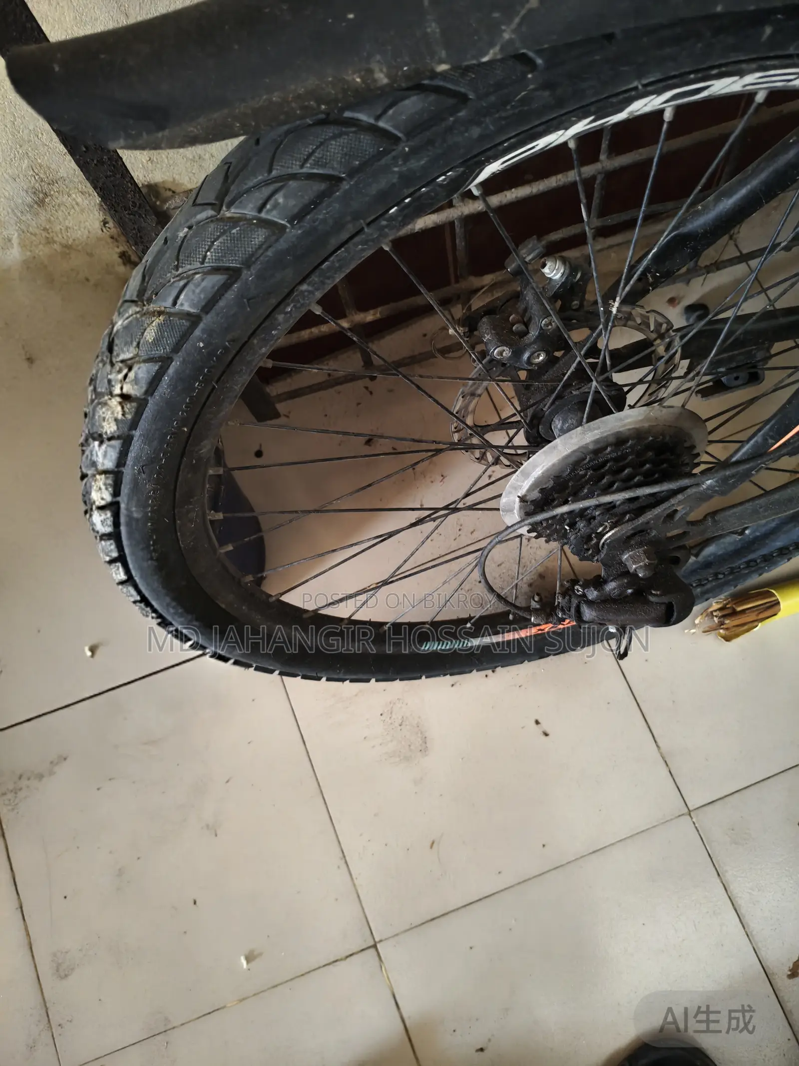 Phoenix Bicycle