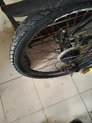 Phoenix Bicycle