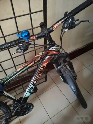 Phoenix Bicycle