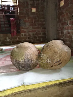 পিউর নারিকেল