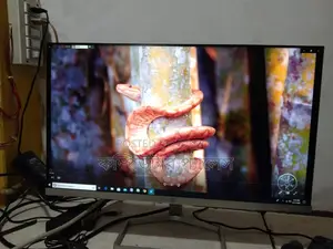 22 Inch Hp Ips Broderless 100% Fresh Monitor