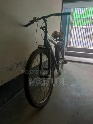 বাইসাইকেল, ব্রেকবিহীন সাইকেল
