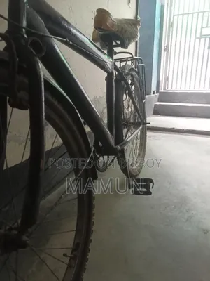 Bicycle, Cycle Without Brakes