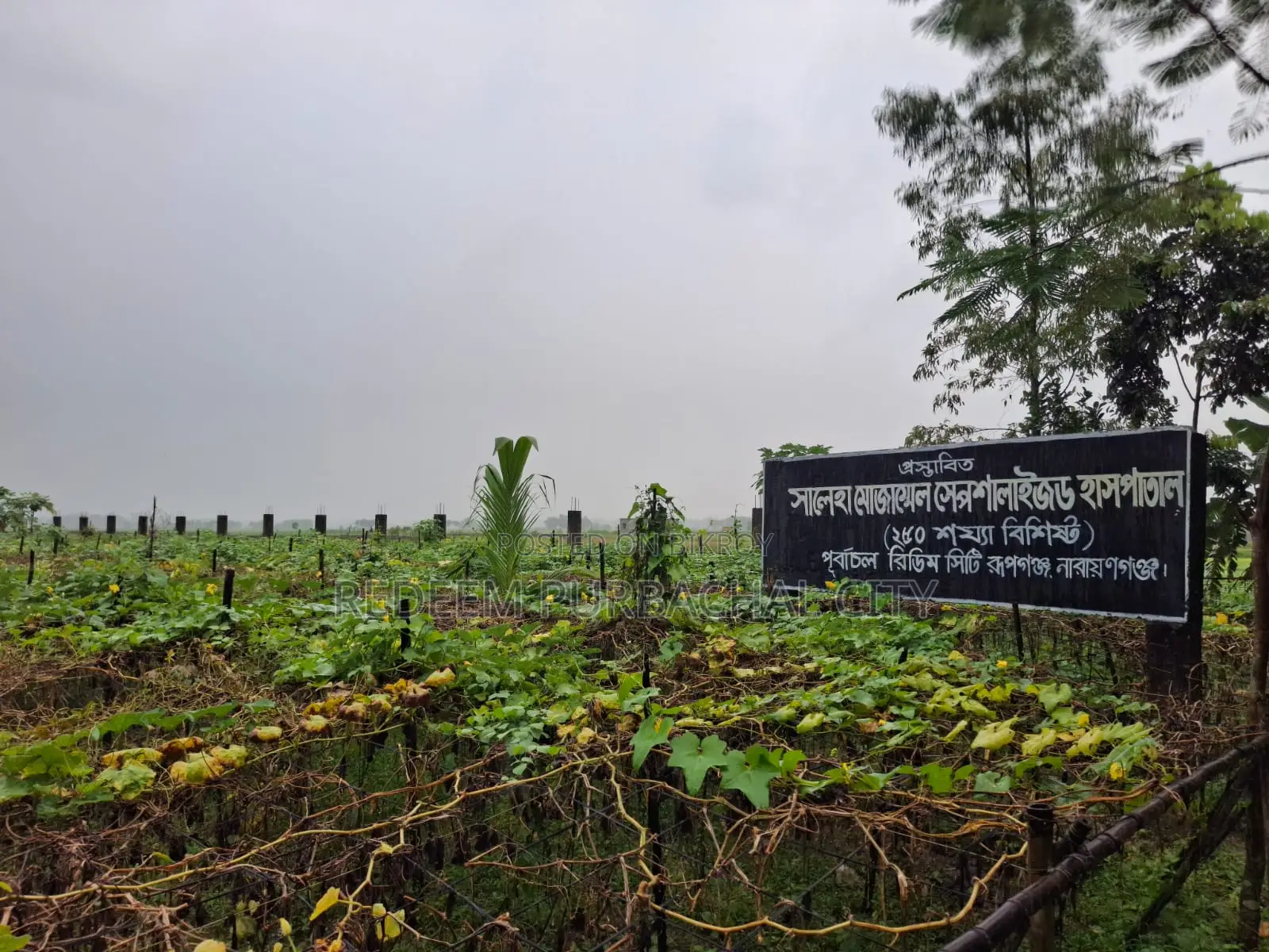 5 Katha Commercial Land in Purbachal