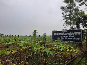 5 Katha Commercial Land in Purbachal
