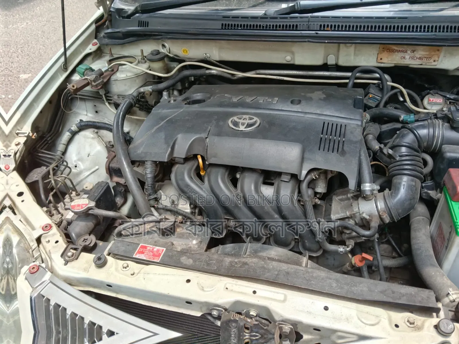 Toyota Corolla 2005 Pearl