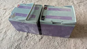 2 Pic Battery