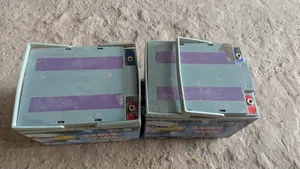 2 Pic Battery