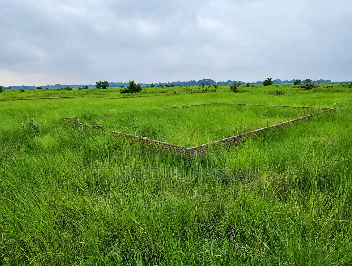 1 Katha land for sale in Bashundhara P Extension block