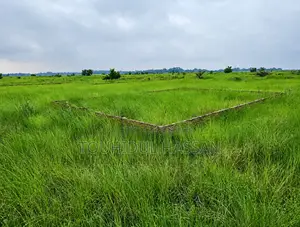 1 Katha land for sale in Bashundhara P Extension block