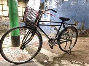 ফনিক্স ডাবল ফ্রেম সাইকেল