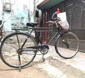 ফনিক্স ডাবল ফ্রেম সাইকেল