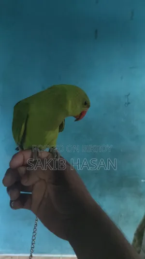 আমি সময় দিতে পারি না তাই বিক্রি করে দিবকেও নিয়ে চাইলে কল দেন