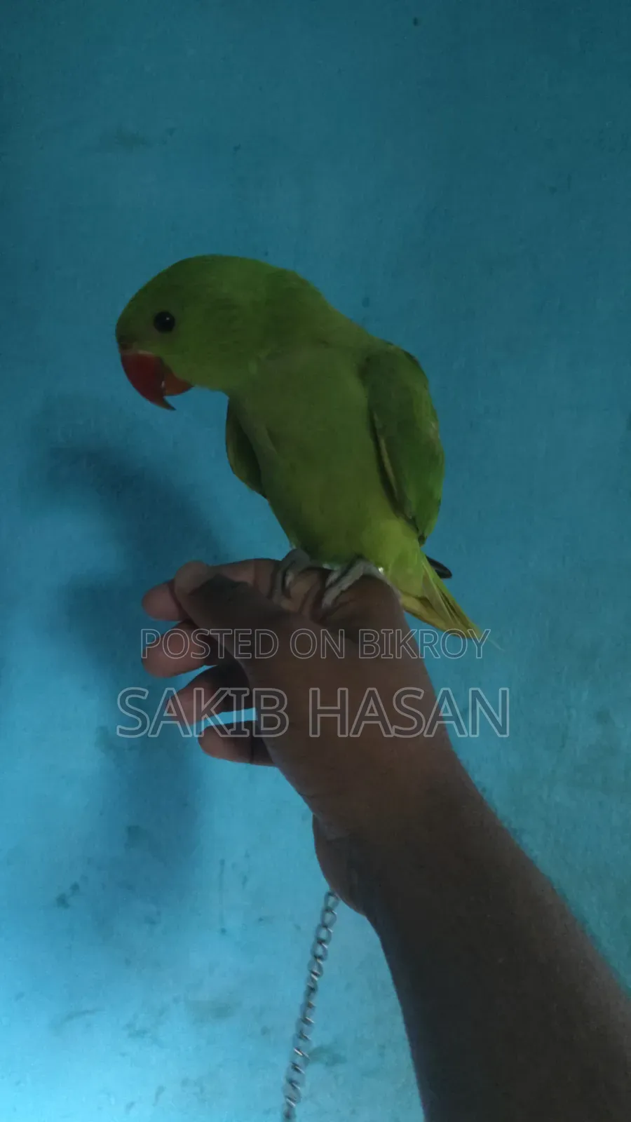 আমি সময় দিতে পারি না তাই বিক্রি করে দিবকেও নিয়ে চাইলে কল দেন