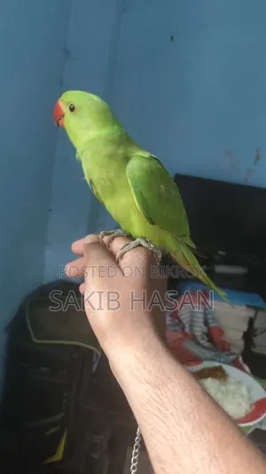 আমি সময় দিতে পারি না তাই বিক্রি করে দিবকেও নিয়ে চাইলে কল দেন