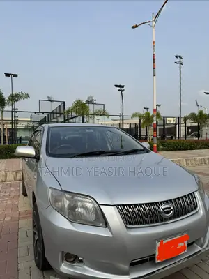 Toyota Axio 2007 Silver