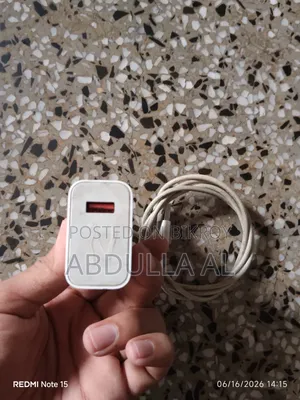 Mi 33w Charger