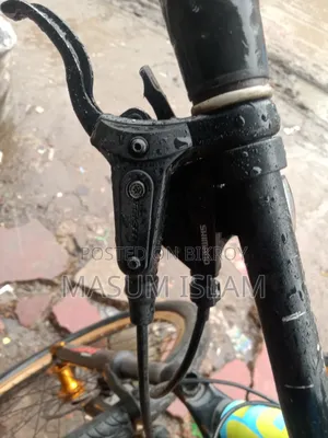 আর্জেন্ট সেল সাইকেল